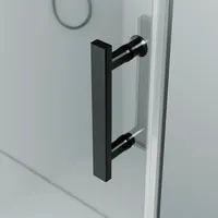 Madeira | ușă de duș batantă Black 90, 190cm, 6mm, NANO
