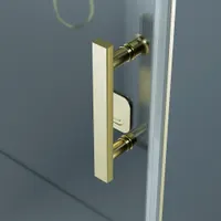 Madeira | ușă de duș batantă Gold 100, 190cm, 6mm, NANO