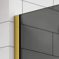 Walk-in | perete de duș Gold, cu sticlă fumurie 100, 200cm, 8mm, NANO